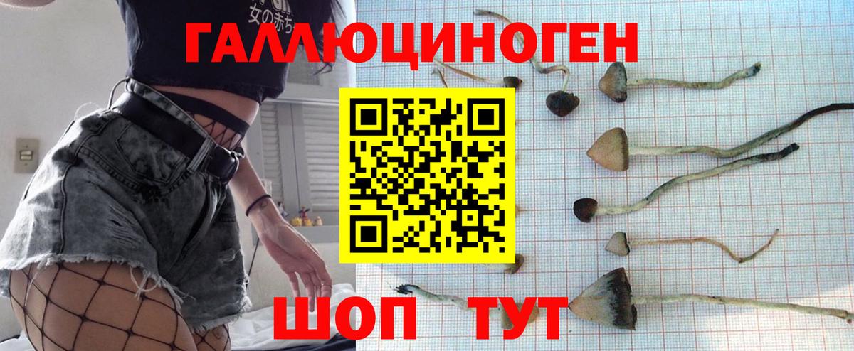 где продают   Вход с VPN  Кондопога  Галлюциногенные грибы мицелий 