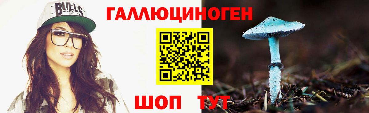 Псилоцибиновые грибы MAGIC MUSHROOMS Кондопога
